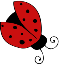 Another ladybug with wings a flutter