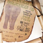 safari invitations